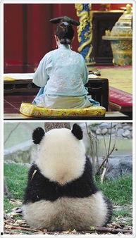 娱乐圈吃瓜群众是谁呀,揭秘那些热衷于八卦的明星粉丝群体  第1张